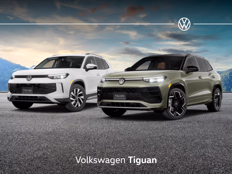 Tiguan L на российской дороге зимой